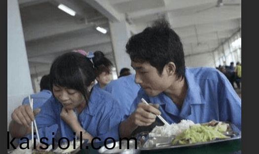 无遮无挡爽爽免费视频